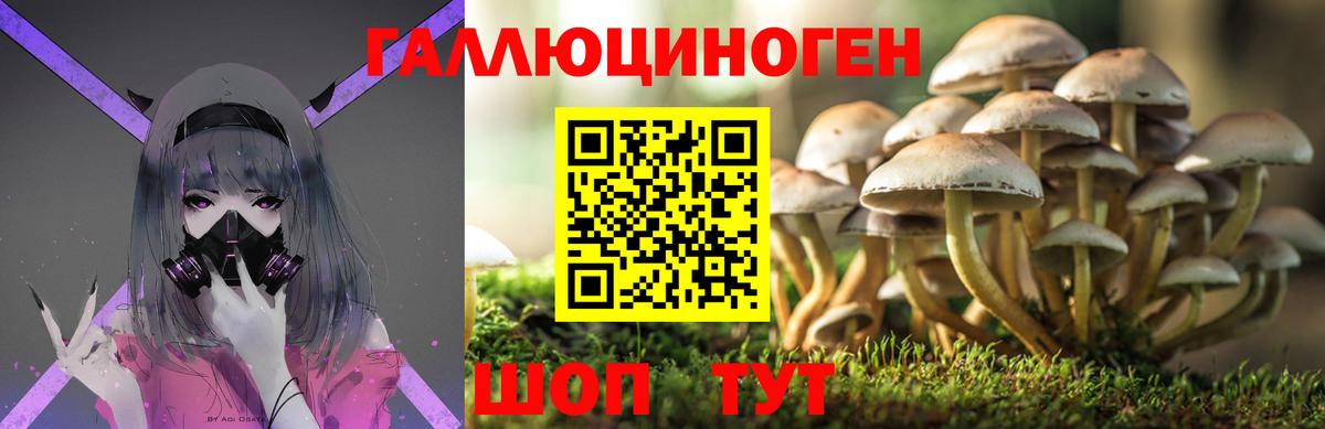 Галлюциногенные грибы прущие грибы  Вход с VPN  Псилоцибиновые грибы Magic Shrooms  Великие Луки 